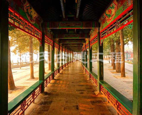 古建主體施工 苑氏古建工程專(zhuān)業(yè)公司 古建主體施工團(tuán)隊(duì)