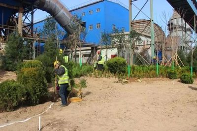 鋼城視角丨【鐵腕治霾】鋼鐵美麗花創(chuàng)建--綠色龍鋼雛形初綻 || 高標(biāo)準(zhǔn)做好屋頂綠化美化工作 打造俯視景觀(guān)&ldquo;綠色韓城&rdquo;_財(cái)經(jīng)_網(wǎng)